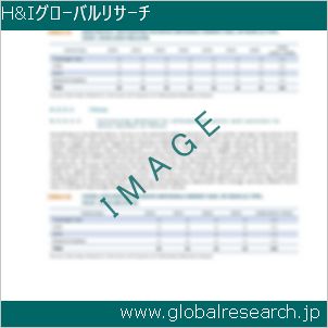 グローバルリサーチ調査レポートのイメージ